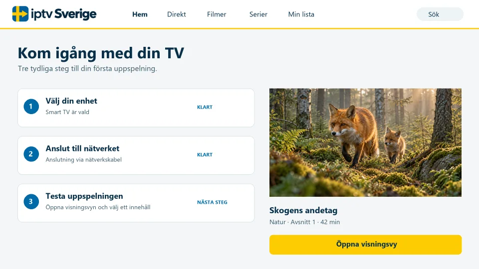 Skärmbild av installationsguiden i tre steg: välj enhet, anslut till nätverket och testa uppspelningen.